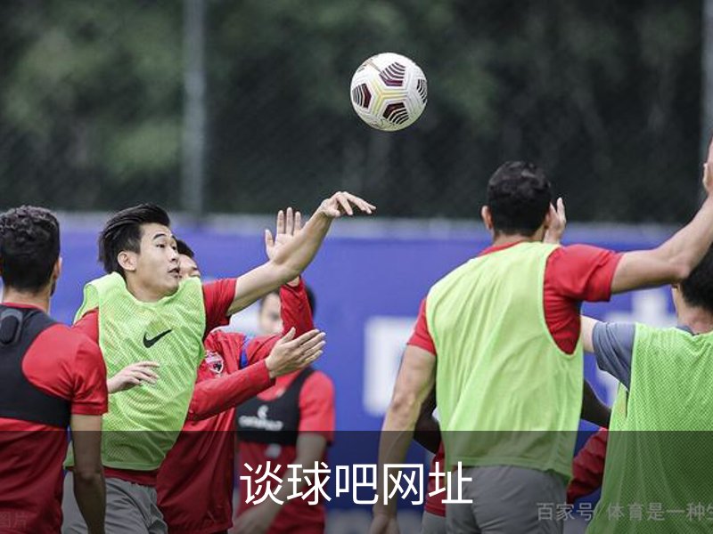 谈球吧网址介绍